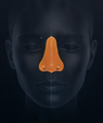 Nose
